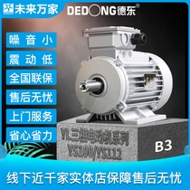 Dedong national standard YS100 YS112 series low-power horizontal motor three-phase motor B3) Future ten thousand homes