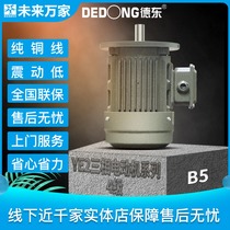 Dedong YE2 national standard vertical three-phase asynchronous motor (55-45KW-4 pole-380V) future ten thousand homes