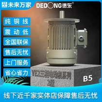 Dedong YE2 national standard vertical three-phase asynchronous motor 0 75-45KW-2 pole-380V) Future ten thousand homes