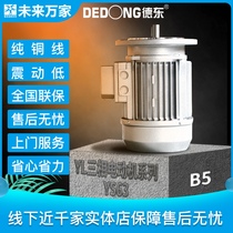 Dedong national standard YS63 series low power 380V vertical asynchronous motor three-phase motor B5) Future ten thousand homes