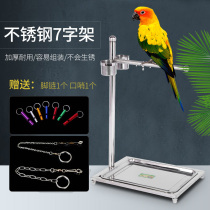 Parrot station frame stainless steel large Xuanfeng small sun starlings small bird stand cage Birdcage delivery anklets