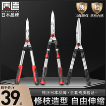 Day Nature Building Gardening Cutting Home Lawn Mowing Grass Cutting Grass Cutting Tree Branches Green Hedge Cut Coarse Branches Garden Big Scissors