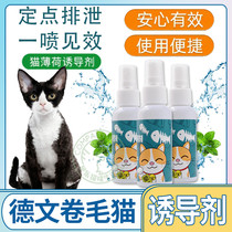 German curly cat special interactive play kittens happy water cat mint spray inducers perfume self-hi appeasement