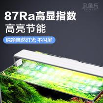 Sub-white fish tank light small LED light aquarium colorful lighting three-base color energy-saving full spectrum waterproof aquatic straw light