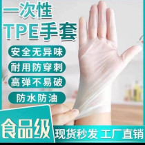 Food grade disposable gloves TPE elastic compound Dingqing latex hairdressing housework thickened household edible tasteless