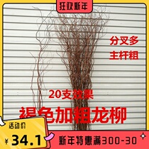 Dragon willow dragon Willow dry branches fake branches Brown Brown with leather dragon Willow decorative partition window decoration natural branches