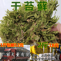 Dry Moss aquatic plants Moss Moss turtle packing and transporting hibernating mats Orchid Dendrobium planting grafting materials