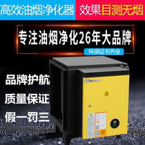 Kolan Environmentally Friendly Oil Smoke Purifier Low Altitude 6000 Air Volume Catering Barbecue Hotel Kitchen Commercial Separation Filter