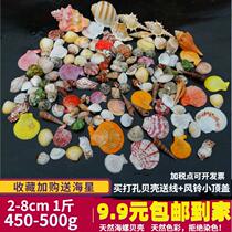 Shell hanging scallop beach art pink mini hermit crab gift material children birthday jewelry Sea