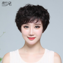Wig female short hair mother real hair full head cover simulation natural real hair silk middle-aged and elderly short curly hair summer hair set