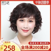Wig short hair lady middle-aged and elderly short curly hair bald head real hair silk head set Mother full real simulation natural