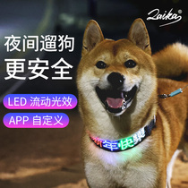 laika Puppy Circle Night Luminous caption LED Dog ring neck neck Teddy Chai Dogs Large Pets Custom Dog Tags