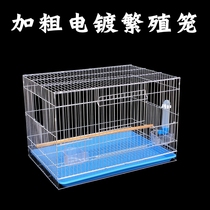 Budgerigar bird cage Medium-large electroplated starling Peony Xuanfeng Bold breeding large metal breeding bird cage