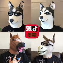 Dog headgear man wears bar funny donkey head performance props Animal horse head mask Husky dog headgear