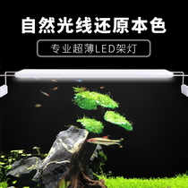 Fish tank aquatic plant light led full spectrum professional small special waterproof lighting super bright aquarium fish lamp grass lamp holder