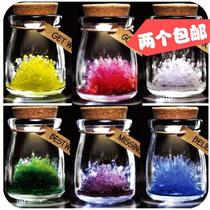 Science experiment Ecological bottle Primary school science seed Crystal toys Creative novelty Fun childrens toys Puzzle