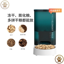  Smart feeder SOLO cat cat dog pet automatic timing cat food Dog food self-service feeding machine