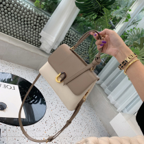 This years popular portable shoulder bag bag female 2021 New Tide network red French niche senior sense explosive shoulder bag