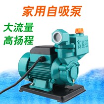 DC 12v48v small self-priming pump water machine marine watering vegetable washing car garden battery car tap water booster pump