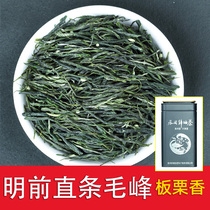 Authentic Fenggang Zinc Selenium Tea Mingxen Mountain Tea Bulk Guizhou Yunwu Green Tea 250g Canned Selenium-rich Maofeng Tea