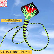 Weifang kite super long 30 m snake kite long tail children adult beginner green snake breeze easy fly super large