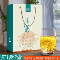 Golden silk Emperor chrysanthemum a cup of independent packaging Super Huangshan Gongju big chrysanthemum tea herbal tea with hand gift