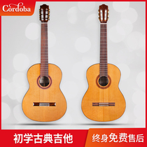 Cordoba Córdoba C5 C7-CD face single 38 inch classical acoustic guitar beginner students male and female introductory C7 SP