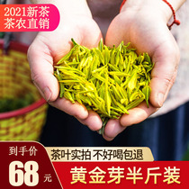 Golden Bud Tea Authentic White Tea 2021 New Tea Yuqian Spring Tea Alpine Green Tea Anji Bulk Ration Tea 250g