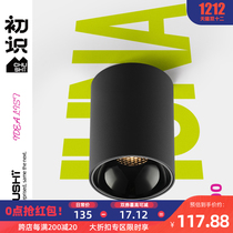 First-seen lighting downlight Nordic simple led spotlight living room home background wall spotlight COB ceiling light