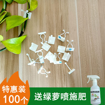 Green Luo fixed artifact rose outdoor buckle clip green vine climbing vines wall climbing wall