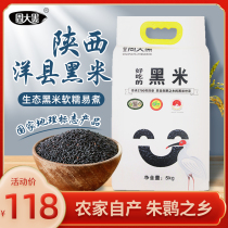 Zhou Dahe Hanzhong Yang County black rice farmer whole grains coarse grains black rice black glutinous rice pregnant women and children 10 kg of rice