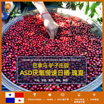 Panama donkey Manor ASD anaerobic Slow Sun Sun rose summer boutique coffee raw beans 2021 New Season