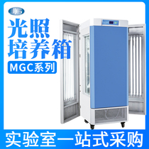 Shanghai Yiheng Light Incubator Laboratory Plant Cultivation Environment Simulation Microbial Box MGC-100P