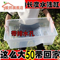 Brazil household plastic turtle turtle land and water tank large breeding turtle grass turtle crocodile with sun table cylinder basin turtle box