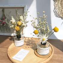 Starry dried flowers True roses eternal life bouquet Living room ornaments Home decoration with vase ins small fresh