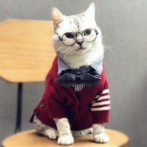 New cat clothes spring Teddy pet sweater English short blue clothes cute dog clothes autumn and winter clothes