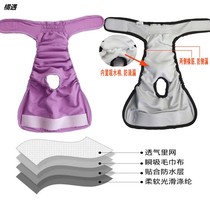 Dog health pants womens dog menstrual pants golden hair Teddy large and medium health aunt towel anti-disturbance safety underwear