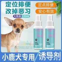 Small deer canine special dogs Upper toilet inducers Targeted Defecation Training Location Training Toilet Liquid Pee Urine Pull Shit Boot