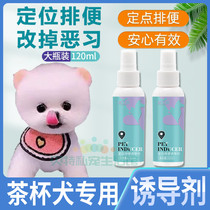 Tea Cup Dog Special God Instrumental Dogs Upper Toilet Inducers Targeted Defecation Training Location Training Toilet Fluid Guide Pets