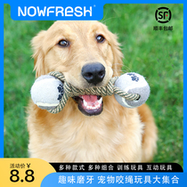 Dog toys resistant to biting and grinding teeth knots knots toys firewood dogs puppies toys small dogs toys pet toys
