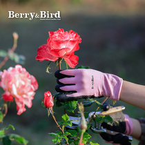 BerryBird gardening gloves wear-resistant dirt-resistant flower planting vegetables digging and pulling tools Garden gardener gloves