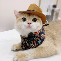 Cat cowboy hat Pet Head jewelry Western cowboy hat Photo Dog small dog helmet cute pet hat