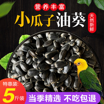 Raw black pearl small melon seed sunflower seed oil sunflower seed bird food hamster with zero food and bird grain dove 5 kilos