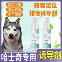 Haersk Special Shit Urine Training Pooch Inducers Dog Defecation on the toilet Toilet Pinpoint Defecation and Toilet Bowl