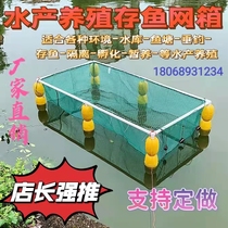 Net Cage Fish Breeding Net Special Nylon Beekeeping Box Fish Fry Yellow Eel Shrimp Fry Anti-Escape Net Automatic Suspension Net Pocket Survival Fish Stock