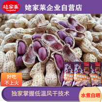 Longyan boiled peanuts authentic sun-dried original flavor with shell crispy farm white sun-dried salty dried red clothes purple clothes Mujialai