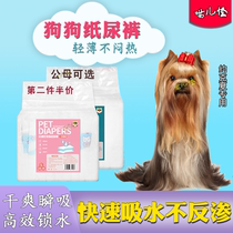 Yorkshire Puppy Physiological Pants Mother Dog Special Sanitary Pants Aunts Pets Menstrual Pants Paper Diaper Pant Dog