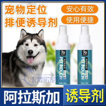 Alaska Special Attractant Pooch-Inducing Agent Targeted Defecation Training Toilet Fluid Diuretics to Position Toilet Poo