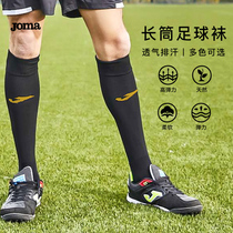 Plum: JOMA Homa football sports training match long tube football socks male 3116PW2010