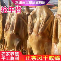 New salted goose hand-marinated Anhui specialty goose air-dried big goose wax goose grass goose whole bacon marinated wax duck